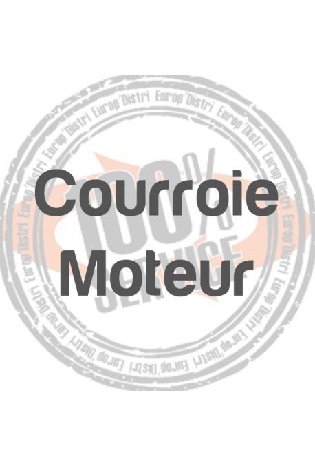 Courroie moteur TRADITION - SINGER 8280 - 155